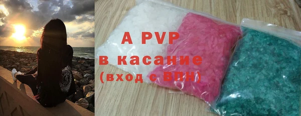 твердый Новозыбков