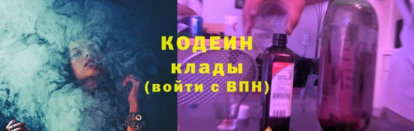 твердый Новозыбков