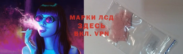 стафф Абинск