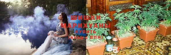 твердый Новозыбков