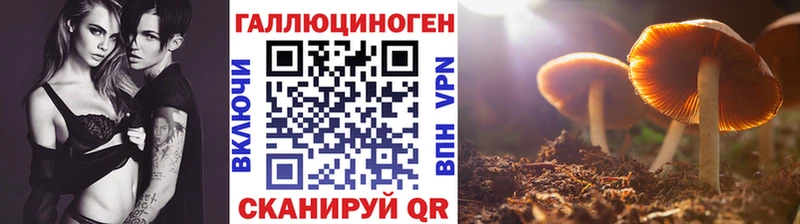 где купить наркоту  Мосальск  Галлюциногенные грибы MAGIC MUSHROOMS 